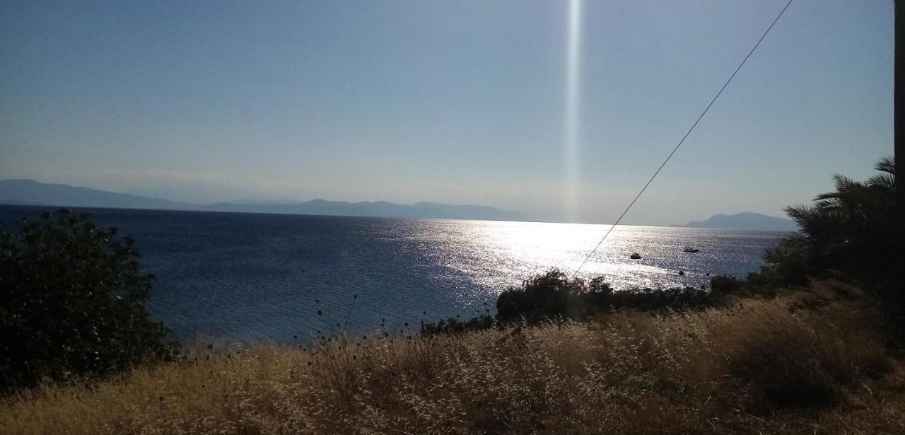 Γεώργιος Παπαϊωάννου Ενοικιαζόμενα Δωμάτια Khrónia Eksteriør billede