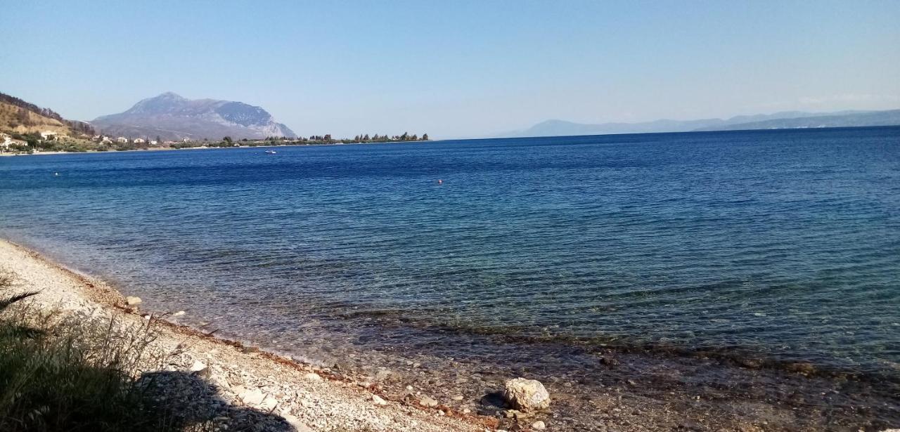 Γεώργιος Παπαϊωάννου Ενοικιαζόμενα Δωμάτια Khrónia Eksteriør billede